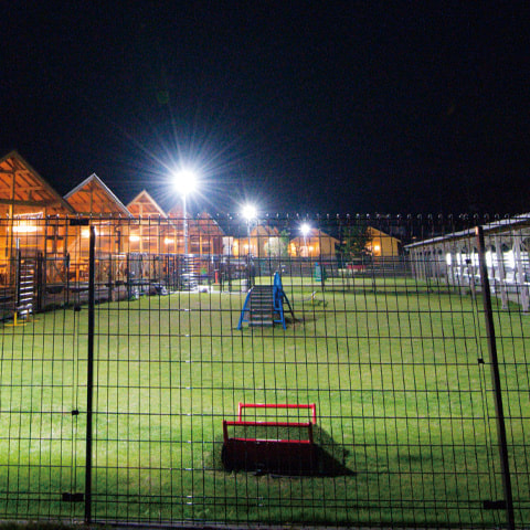 夜のドッグラン