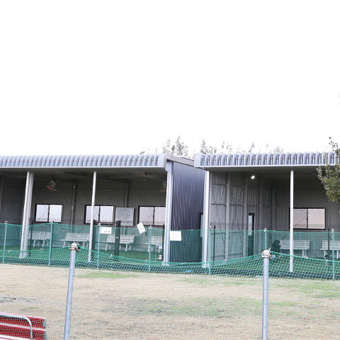 屋内ドッグラン1